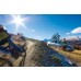 Thule ProRide 591 - Suport Biciclete