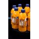 Sealant Auto Gyeon Q2M Wetcoat, 500ml