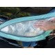 Kit Restaurare Faruri Meguiars Two Step Headlight Restoration Kit