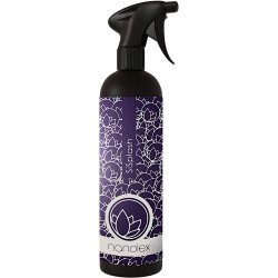 Sealant Auto Lichid Nanolex SiSplash, 750ml