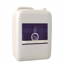 Spuma Prespalare Auto Nanolex Professional Prewash Concentrate, 5L